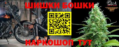 гидра Гатчина